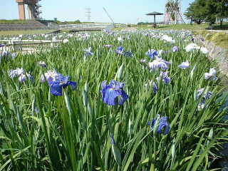 写真2